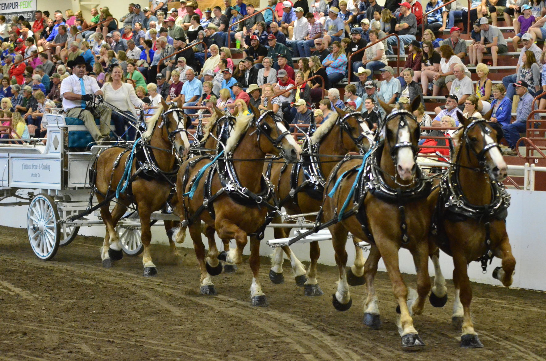 8-25-19 Draft Horse Hitch Final (118).JPG